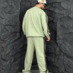 ست سنگشور امیری